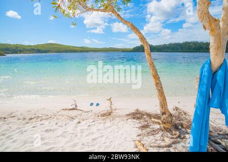 Fraser Island Lake McKenzie acque turchesi circondato da cespuglio con asciugamano blu che pende l'albero di eucalipto e un paio di infradito blu dalle acque bordo Foto Stock