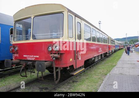 Carrozze vintage. Mostra di locomotive e treni antichi. Foto Stock