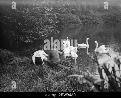 I bambini guardano i cigni sul lago nel Parco di Lullingstone vicino a Eynsford , Kent . 1938 . Foto Stock