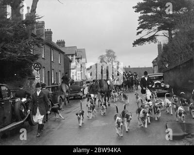 Scene di caccia a Bletchingley , Surrey . I gabbietti corrono per le strade davanti ai cacciatori . 1936 Foto Stock