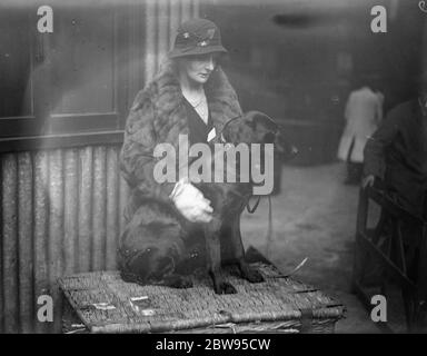 Campione di campioni a Crufts . Il nuovo campione di Lorna Countess Howe vince il Campionato Internazionale al Crufts Show per il secondo anno consecutivo. Bramshaw Bob, il campione del Retriever di Lorna Countess Howe, è stato nuovamente giudicato il campione dei campioni al Crufts Dog Show , il grande spettacolo di cani al mondo , presso la Royal Agricultural Hall , Londra . Lorna Countess Howe e il suo cane da meraviglia campione Bramshaw Bob , con la coppa del campionato dopo la loro vittoria . 9 febbraio 1933 Foto Stock