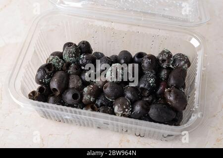 Olive rovinate con muffa verde bianca in un contenitore di plastica per alimenti su un tavolo da cucina. Forgi il fungo sulle olive stantie. Nel frigorifero si dimentica il cibo. Foto Stock