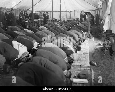 Mohammedans in Inghilterra festeggiano la fine del Ramadan Fast a Woking . Il veterano Lord Headley , il più celebrato inglese convertito all'Islam e ad altri Mohammedan in Inghilterra ha celebrato la fine del mese digiunando per Ramadan con preghiere e abbracci fraterni di ringraziamento alla moschea di Woking , Surrey . Gli adoratori in preghiera con la testa piegata in direzione della Mecca . A causa del freddo il servizio veniva effettuato in una tenda . 9 febbraio 1932 la moschea di Shah Jahan fu la prima moschea costruita appositamente in Europa al di fuori della Spagna musulmana Foto Stock