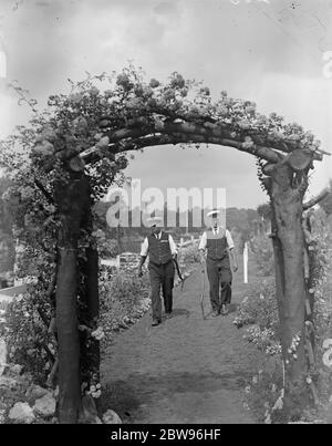 Il guardiano di Teddington vince la tazza di sfida Sir Reginald Hanson per la terza volta per i giardini di serratura meglio tenuti. Per la terza volta, il signor A e Allen , custode del Teddington Lock , sul Tamigi ha ricevuto la Sir Reginald Hanson Challenge Cup per i giardini di serrature meglio custoditi lungo il tamigi . Il signor A e Allen ( a sinistra ) camminando nei giardini con uno dei suoi assistenti . 27 luglio 1932 Foto Stock