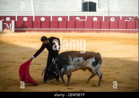 Studente peruviano della scuola di corride di Malaga Julio Alguiar si esibisce con un governo durante una masterclass di corrida in un vuoto anello toro la Malagueta mentre il blocco parziale continua nel paese in mezzo alla malattia del coronavirus. Il bullfighter spagnolo Fernando Rey ha dato una masterclass con gli studenti della scuola di corrida senza la presenza di spettatori come misura per prevenire la diffusione del coronavirus. Questa situazione mostra un'arena vuota ed è il primo evento di corrida in città da quando hanno iniziato lo stato di emergenza. Foto Stock