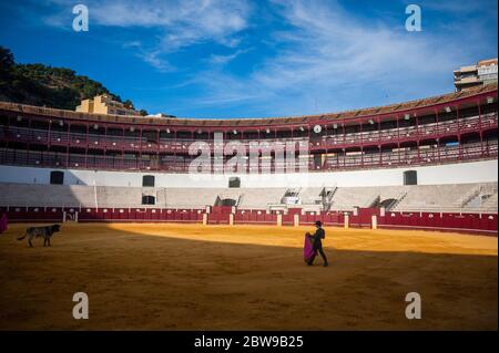 Studente peruviano della scuola di corride di Malaga Julio Alguiar si esibisce con un governo durante una masterclass di corrida in un vuoto anello toro la Malagueta mentre il blocco parziale continua nel paese in mezzo alla malattia del coronavirus. Il bullfighter spagnolo Fernando Rey ha dato una masterclass con gli studenti della scuola di corrida senza la presenza di spettatori come misura per prevenire la diffusione del coronavirus. Questa situazione mostra un'arena vuota ed è il primo evento di corrida in città da quando hanno iniziato lo stato di emergenza. Foto Stock