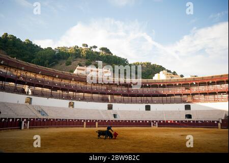 Il bullfighter spagnolo Fernando Rey si esibisce con un governo durante una masterclass di corrida in un vuoto la Malagueta corride come parziale blocco continua nel paese in mezzo alla malattia del coronavirus. Il bullfighter spagnolo Fernando Rey ha dato una masterclass con gli studenti della scuola di corrida senza la presenza di spettatori come misura per prevenire la diffusione del coronavirus. Questa situazione mostra un'arena vuota ed è il primo evento di corrida in città da quando hanno iniziato lo stato di emergenza. Foto Stock