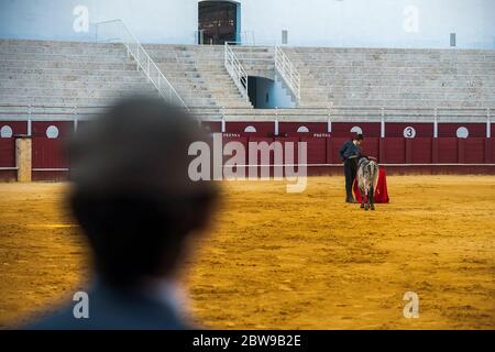 Studente della scuola di corride di Malaga Manuel Martinez si esibisce con un governo durante una masterclass di corrida in un vuoto anello toro la Malagueta mentre il blocco parziale continua nel paese in mezzo alla malattia del coronavirus. Il bullfighter spagnolo Fernando Rey ha dato una masterclass con gli studenti della scuola di corrida senza la presenza di spettatori come misura per prevenire la diffusione del coronavirus. Questa situazione mostra un'arena vuota ed è il primo evento di corrida in città da quando hanno iniziato lo stato di emergenza. Foto Stock