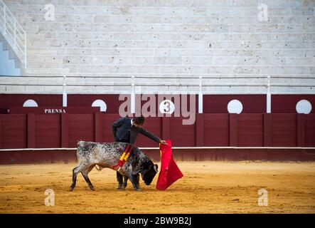 Studente della scuola di corride di Malaga Manuel Martinez si esibisce con un governo durante una masterclass di corrida in un vuoto anello toro la Malagueta mentre il blocco parziale continua nel paese in mezzo alla malattia del coronavirus. Il bullfighter spagnolo Fernando Rey ha dato una masterclass con gli studenti della scuola di corrida senza la presenza di spettatori come misura per prevenire la diffusione del coronavirus. Questa situazione mostra un'arena vuota ed è il primo evento di corrida in città da quando hanno iniziato lo stato di emergenza. Foto Stock