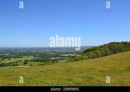 Una bella giornata estiva al Chanctonbury Ring, West Sussex, sulla South Downs Way Foto Stock