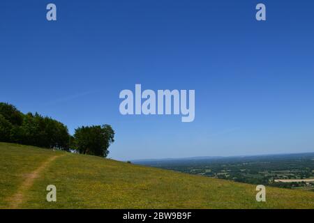 Una bella giornata estiva al Chanctonbury Ring, West Sussex, sulla South Downs Way Foto Stock