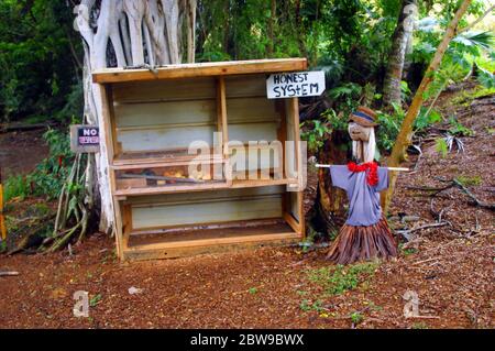 Il supporto per frutta corre sul "sistema onesto" secondo il cartello sullo stand. Uno scarecrow hawaiano si alza come guardia per essere sicuri che le regole del sistema siano state applicate. Foto Stock