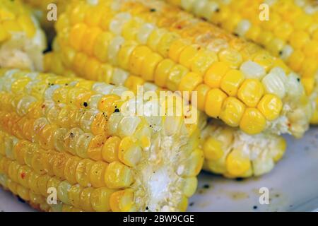 Spighe di mais grigliate sulla pannocchia Foto Stock
