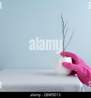 tazza calda di tè bianco in ceramica con ramo in legno secco in stile zen con strana mano in colorato guanto di plastica rosa moderno accogliente interno blu fantasia backgrou Foto Stock