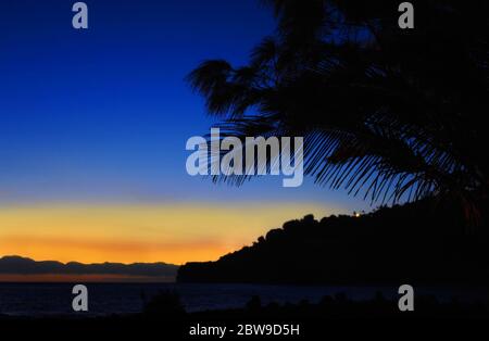 Due piccole luci lampeggiano sulla montagna al Laupahoehoe Beach Park sulla Big Island delle Hawaii. Le facciate delle palme sono caratterizzate da una silhouette che lo ha colorato il cielo Foto Stock