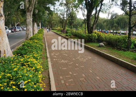 Mattoni rettangolari sulla passerella a Burnham Park, Baguio, Filippine, Sud-est asiatico. Foto scattata il 29 aprile 2014. Foto Stock