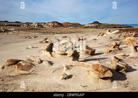 NM00287-00...NUOVO MESSICO - rocce colorate e massi nelle terre di badlands della zona di Bisti Wilderness. Foto Stock