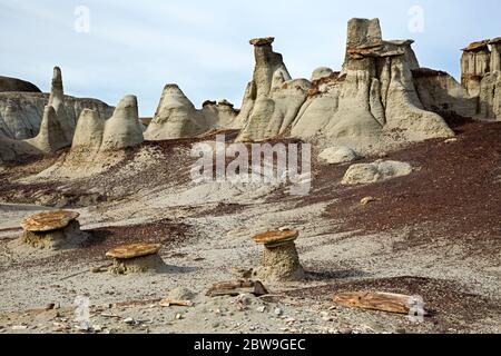 NM00297-00...NUOVO MESSICO - Hoodoos della zona di Bisti Wilderness. Foto Stock