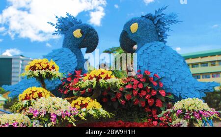 Twitter ispirato arrangiamento di fiori e oggetti esposti al festival dei fiori a Baguio, Filippine. Foto scattata il 24 febbraio 2013. Foto Stock