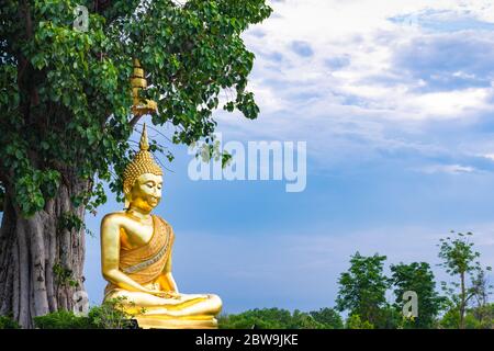 La statua dorata del buddha sotto il grande albero nel luogo pubblico della Thailandia. Foto Stock