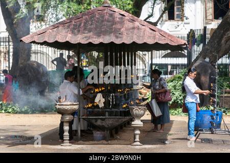 I pellegrini buddisti illuminano le lampade ad olio all'interno del Tempio del complesso della Reliquia Dei Denti Sacri a Kandy in Sri Lanka. Foto Stock