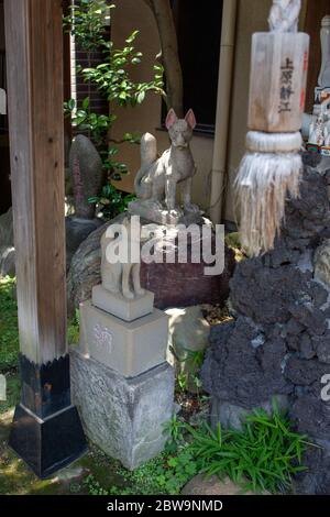 Tempio di Myokenji, Tokyo Giappone, viaggio Foto Stock