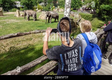 Persone e visitatori guardano gli elefanti allo zoo di Praga, un buon evento per una gita di un giorno per famiglie con bambini animali della Repubblica Ceca Foto Stock