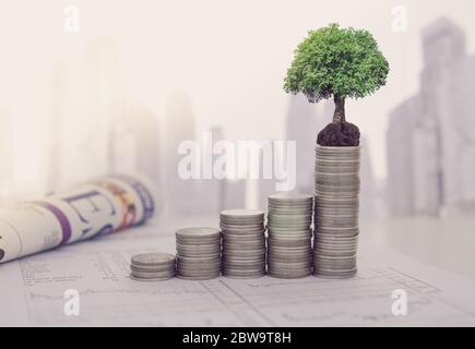 L'albero sono cresciuti su pila di monete e il rapporto di analisi di investimento di crescita, giornale di affari sulla scrivania dell'investitore con la città di sfondo. Concetto di Foto Stock