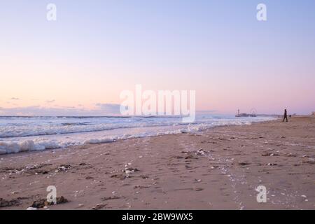 Schiuma di mare, habitat per microrganismi marini come zooplancton, fitoplancton, alghe e protozoi. Sulla spiaggia costiera al tramonto Foto Stock