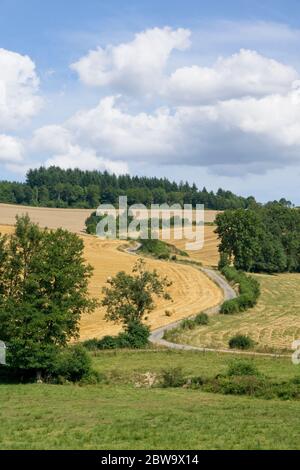 Campagna nei pressi di Cremeaux nel dipartimento della Loira, nella Francia centrale Foto Stock