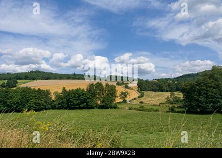 Campagna nei pressi di Cremeaux nel dipartimento della Loira, nella Francia centrale Foto Stock