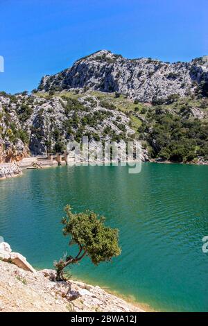 Lago artificiale Gorg Blu nella Serra de Tramuntana, Maiorca, Isole Baleari, Spagna, Europa Foto Stock