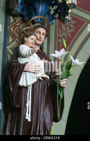 Sant'Antonio da Padova custodisce la statua di Gesù nella chiesa parrocchiale della Natività della Vergine Maria a Granesina, Croazia Foto Stock