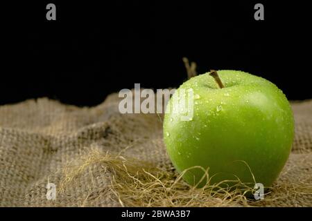 Mela verde su sacco gunny su sfondo nero, bagnato frutta singola mela. Foto Stock
