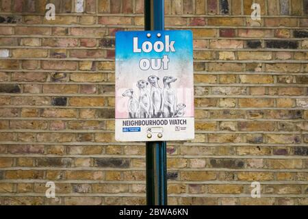 Meerkat Neighborhood Guarda la segnaletica nel London Borough of Richmond Upon Thames, Londra, Regno Unito Foto Stock