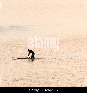 Un surfista al tramonto, Whitstable Harbour, Inghilterra Foto Stock