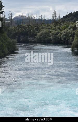 Fiume Waikato che scorre velocemente alle Cascate Huka tra le rive coperte da fitta macchia nativa. Foto Stock