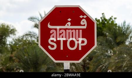 Cartello DI SOSTA bilingue arabo-inglese di fronte agli alberi nella città di al Mudhairib, Oman Foto Stock