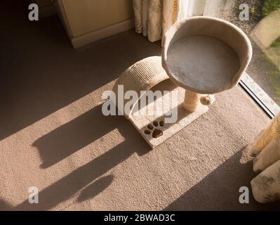 Centro attività Cat con bordo graffiante e pianale del sedile del trattore che getta un'ombra al mattino presto Foto Stock