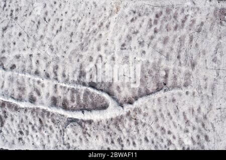 Struttura stradale in asfalto bianco. Primo piano. Vista dall'alto. Foto Stock