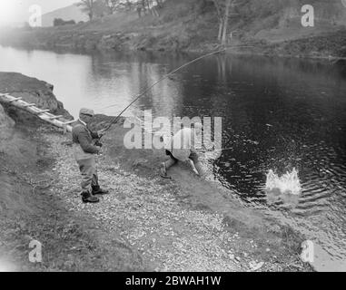 Pesca al salmone a Symonds Yat Foto Stock