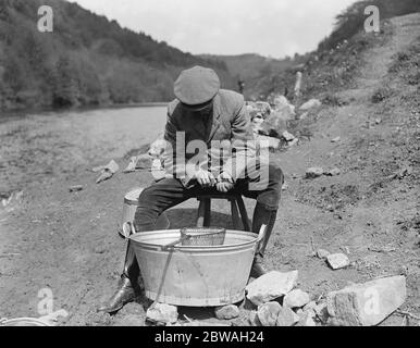 Pesca al salmone presso Symonds Yat Marking Smolts Foto Stock