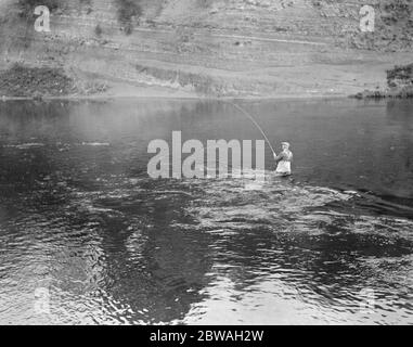 Pesca al salmone a Symonds Yat Foto Stock