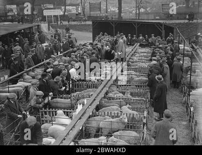 Una scena tipica del mercato Sevenoaks natale grasso mostra 14 dicembre 1931 Foto Stock