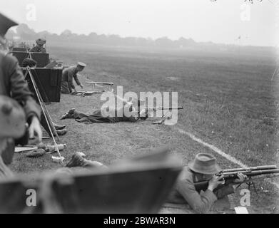 Bisley Meeting Miss Preston , sparando in posizione prona 1919 Foto Stock