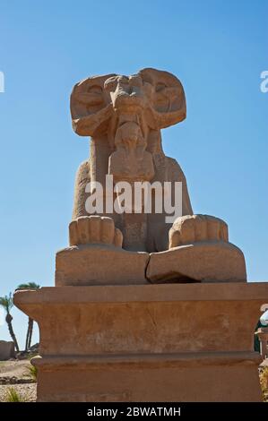 Antica statua egiziana di sfinge in pietra con testa di ariete al tempio di Karnak a Luxor Foto Stock