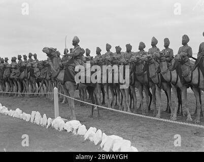 Guardia d onore del Principe di Galles . Il Principe del Galles sta trascorrendo il week end a Bikaner , dove HRH è ospite del Maharajah di Bikaner , uno dei più famosi governanti in India . Il Maharajah comanda il corpo dei cammelli di Bikaner che formerà la guardia di onore al principe di Galles durante la sua visita a Bikaner . 3 dicembre 1921 Foto Stock