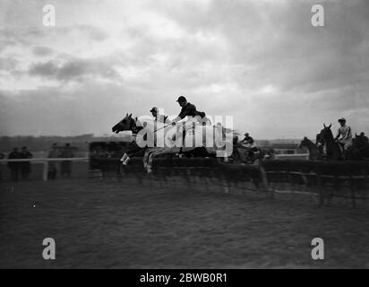 Sopra i salti all'ippodromo di Newbury , ' scelta di Henri ' ( una volta rotto il collo ) no 23 , vincitore del Berkshire handicap Hurdle . 2 dicembre 1936 Foto Stock