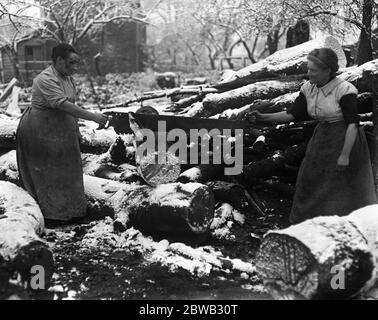 Donne lumbermen a Clandon , Surrey . 1916 Foto Stock