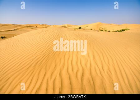 Deserto di Kubuqi nella provincia cinese della Mongolia interna, uno dei deserti più grandi e più aridi della Cina Foto Stock